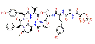 Lyngbyastatin 6